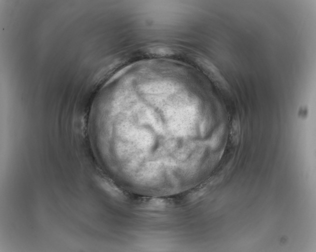 X0000090630330200708141439