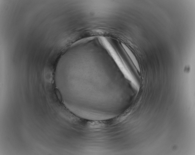 X0000090630331200708141439