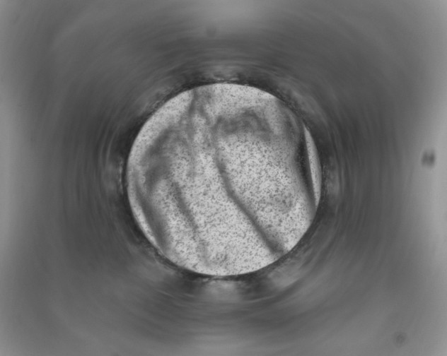 X0000090630332200708141439