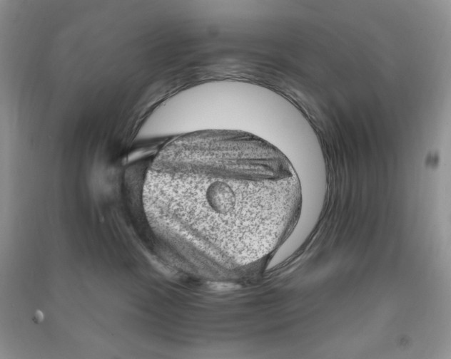 X0000090630333200708141439