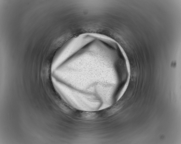 X0000090630334200708141439