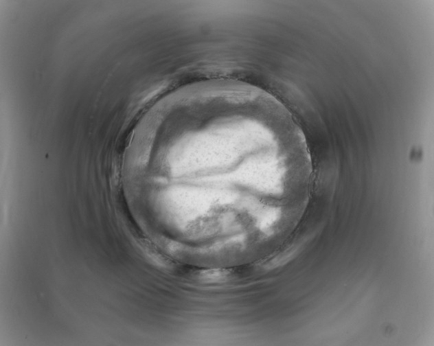 X0000090630335200708141439