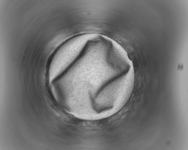 X0000090630338200708141438