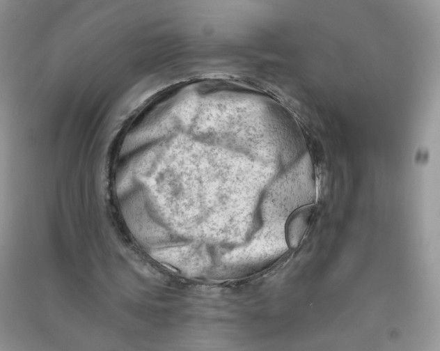 X0000090630339200708141439