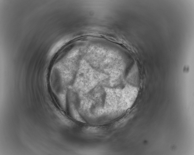 X0000090630341200708141439