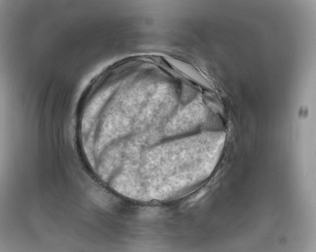 X0000090630342200708141439