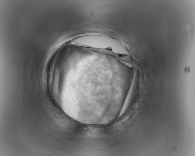 X0000090630343200708141439