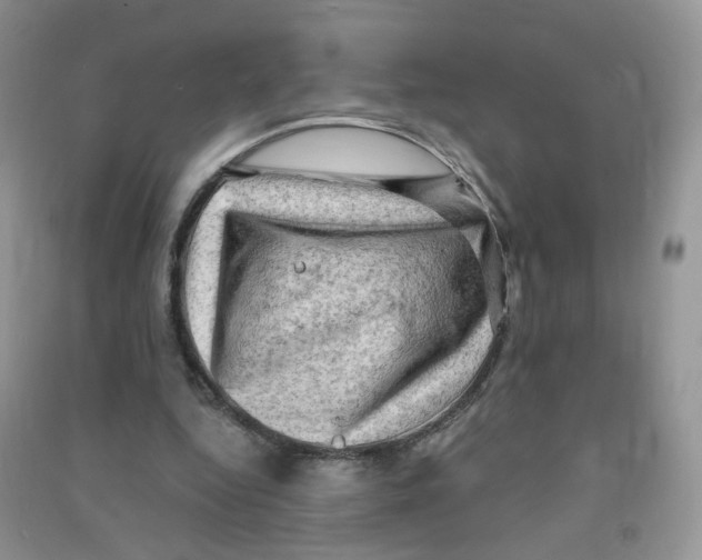 X0000090630344200708141439