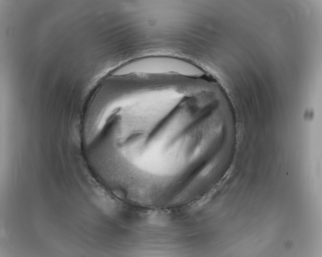 X0000090630345200708141439