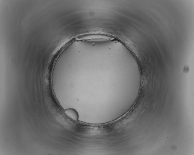X0000090630347200708141439