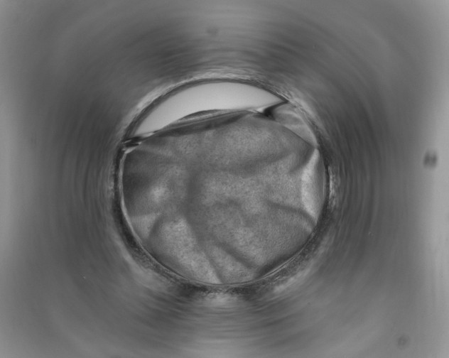 X0000090630348200708141439