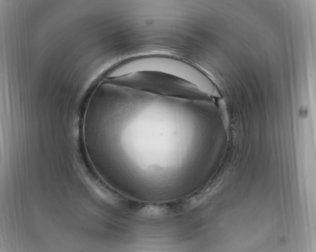 X0000090630350200708141439
