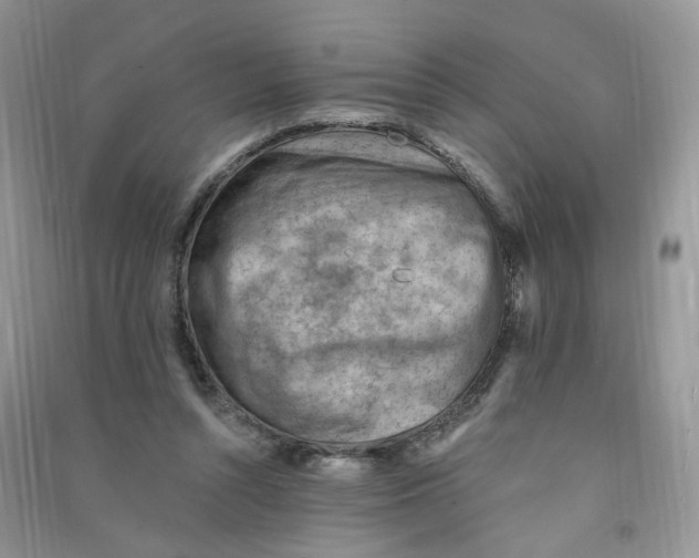 X0000090630352200708141439
