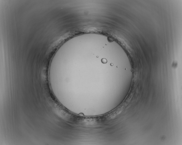 X0000090630353200708141439