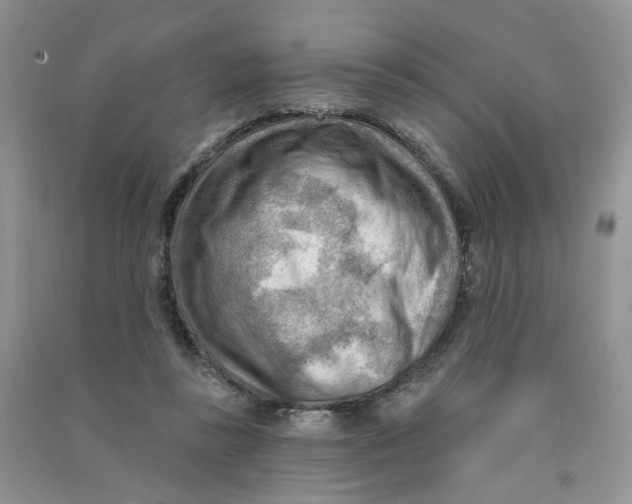 X0000090630355200708141439