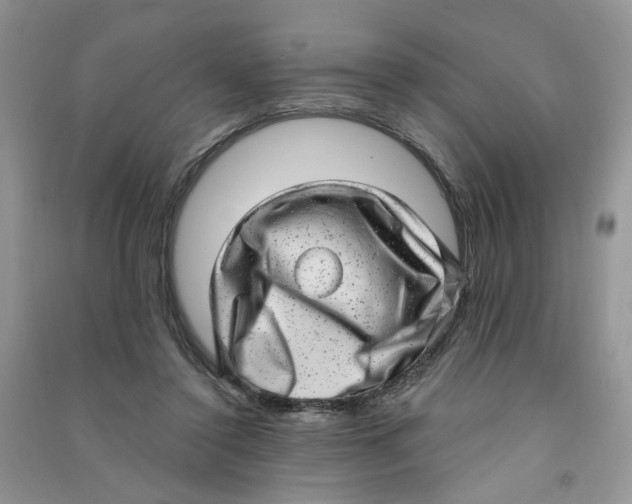 X0000090630356200708141439