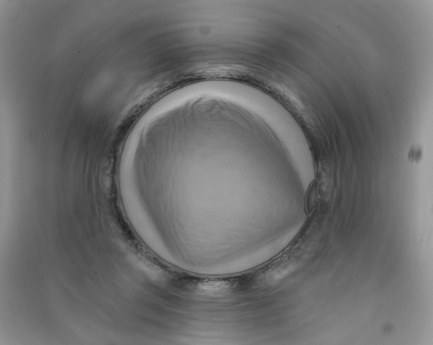 X0000090630357200708141439