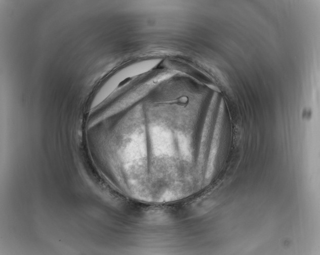 X0000090630358200708141439