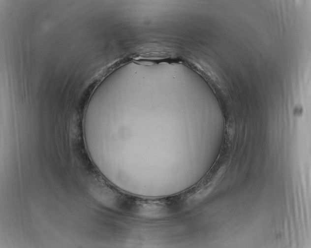 X0000090630359200708141439