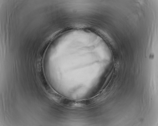 X0000090630360200708141439