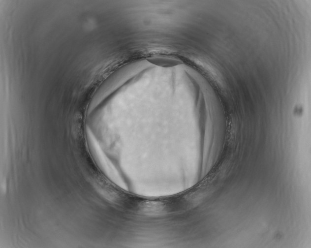 X0000090630361200708141439