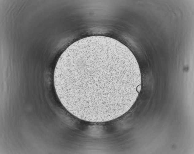 X0000090630362200708141439