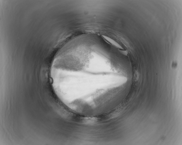 X0000090630363200708141439