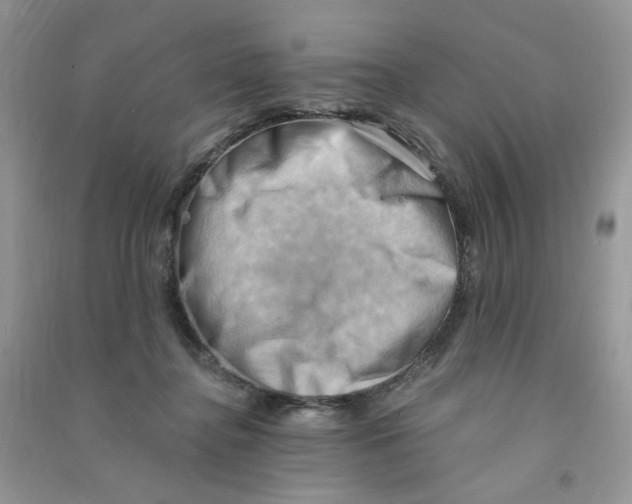 X0000090630364200708141439