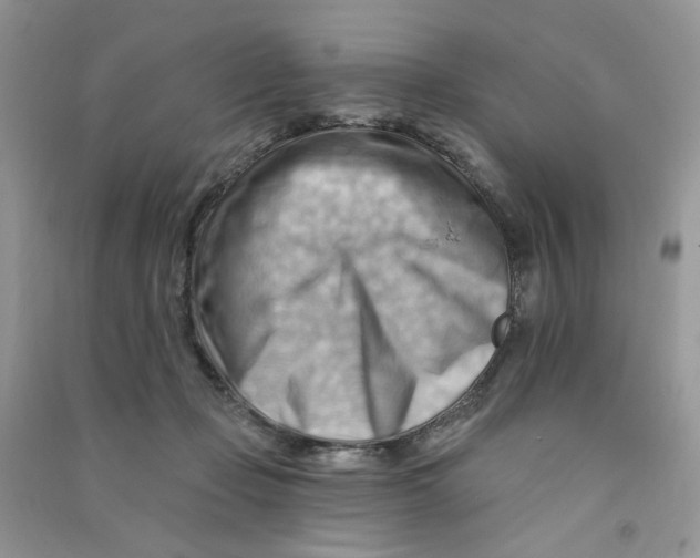 X0000090630365200708141439