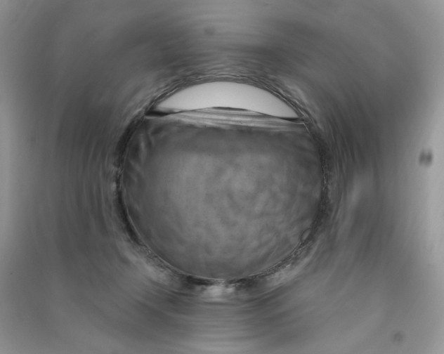 X0000090630366200708141439