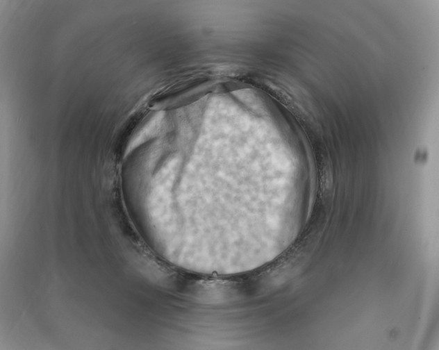 X0000090630367200708141439