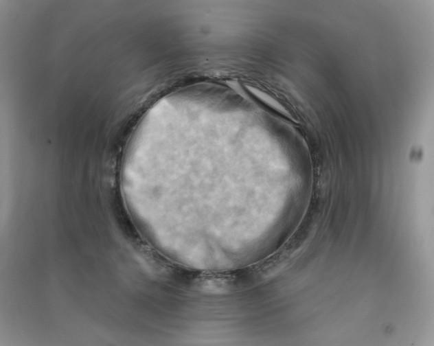 X0000090630368200708141439