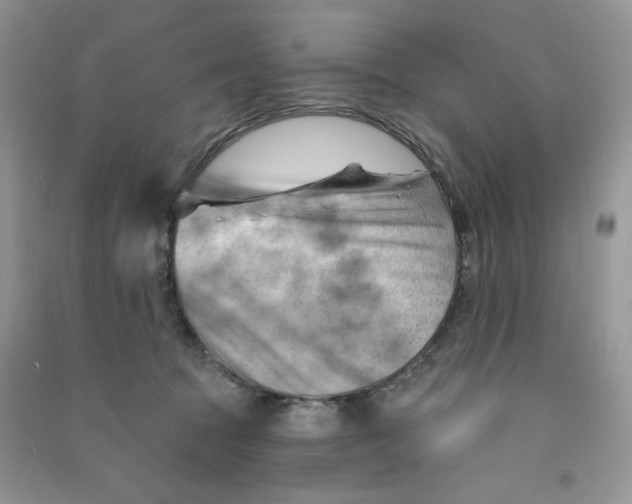X0000090630369200708141439
