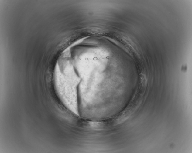 X0000090630371200708141439