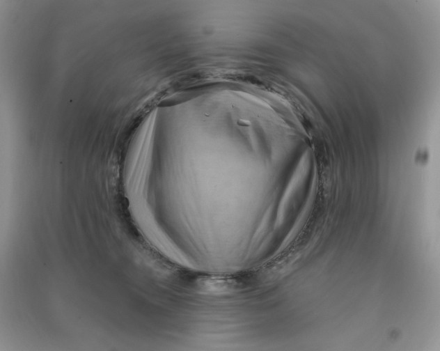 X0000090630372200708141439