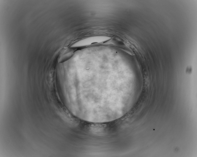 X0000090630373200708141439