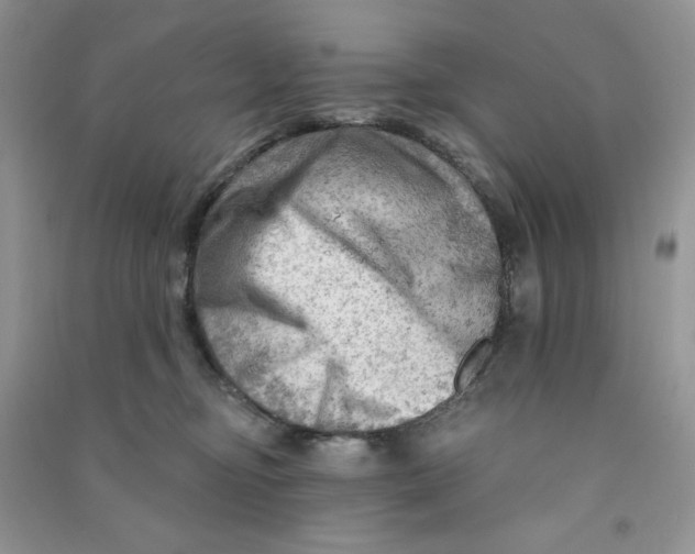 X0000090630374200708141439