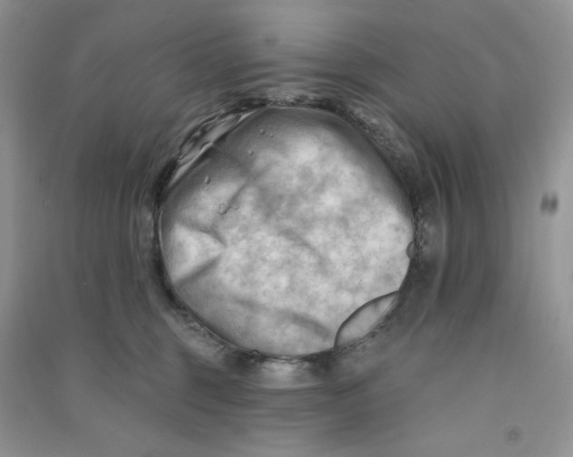 X0000090630375200708141439