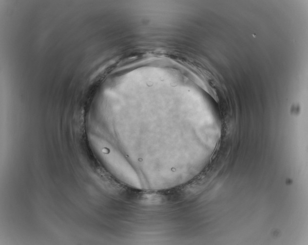 X0000090630376200708141439