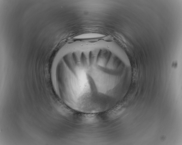 X0000090630377200708141439
