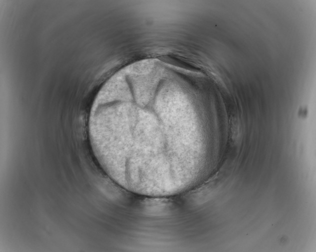 X0000090630378200708141439