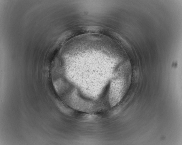 X0000090630379200708141439