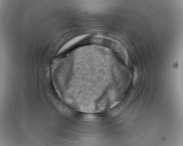 X0000090630380200708141439