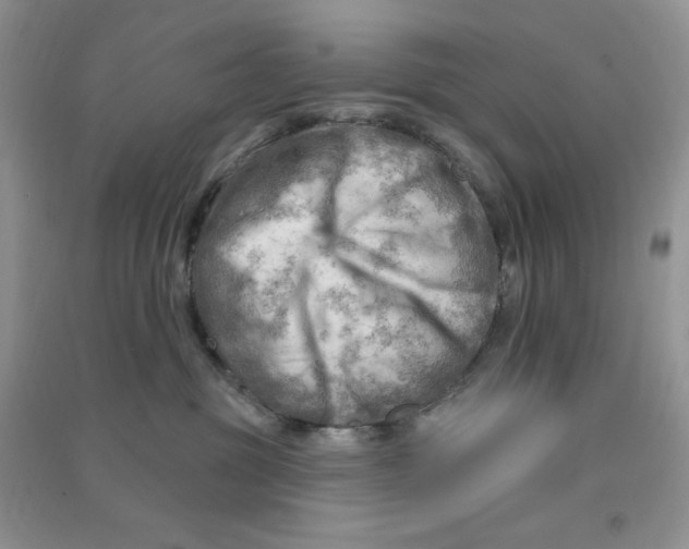 X0000090630381200708141439