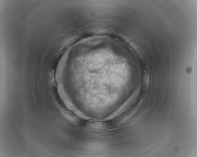 X0000090630383200708141439