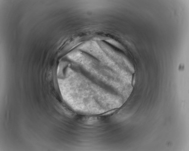 X0000090630384200708141439
