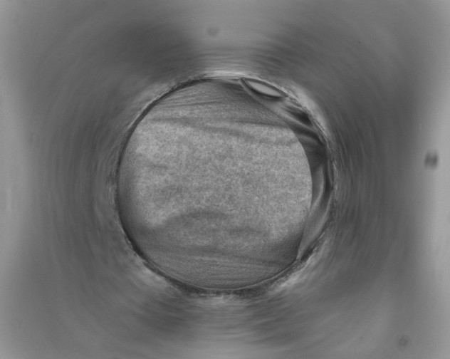 X0000090630385200708141438
