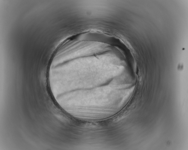 X0000090630386200708141438