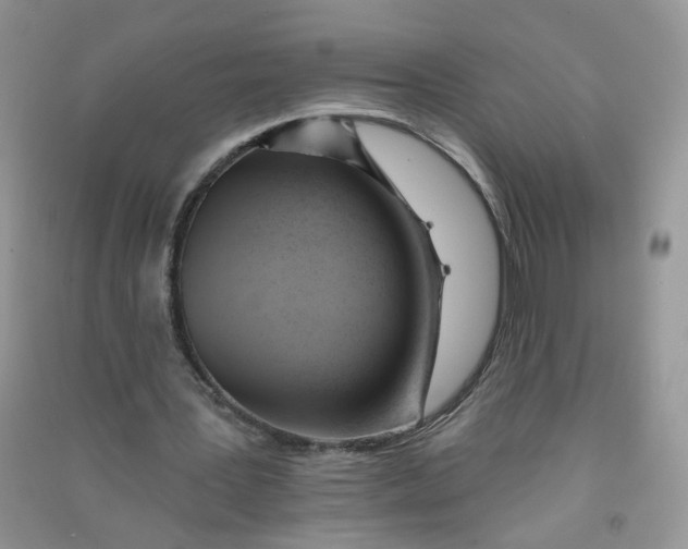 X0000090630387200708141438