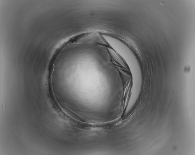 X0000090630388200708141438